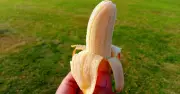 Gardeners Advised to Bury Banana Peels in Soil This June for Healthier Plants