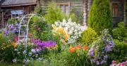 Gardeners Urged to Add Sticks in June for Healthier Blooms