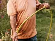 Gardeners Urged to Do These 4 June Gardening Jobs for Vibrant Summer