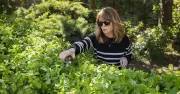 Gardeners Urged to Use Two-Bowl Trick to Protect Birds from Disease