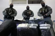 Germany Seizes 8 Tons of Cocaine Hidden in Cacao Bean Shipment