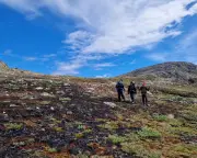Greenland Wildfires Spark Alarm as Two Blazes Hit Arctic Island in a Week