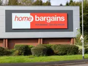 Home Bargains £30 Garden Chair: Stylish Lounger in Two Colours