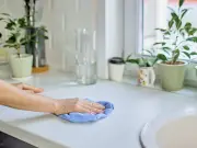 Homemade Degreaser from Orange Peels: Simple Kitchen Hack