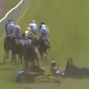 Horse Dies, Jockey Hospitalised After Horrific Brighton Racecourse Collision
