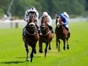 Horse Racing Tips: Red Spells Danger and Manatee Mehmas to Win at York and Sandown