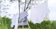 Households in England Urged Not to Dry Clothes on Washing Lines from Wednesday