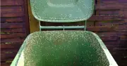 Households Urged to Pour Boiling Water in Wheelie Bin This Saturday