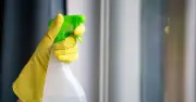 Households Urged to Spray Garlic on Windows to Repel Spiders This Friday