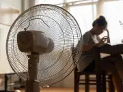 How to Cool Your House Fast After a Heatwave Using the 'Flushing' Technique