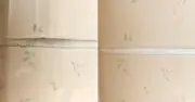 I Whiten Stained Grout in 5 Minutes with a 50p Tesco Item