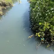 Investigation Launched After Sewage Repeatedly Pumped into Welsh River Kenfig
