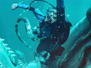 Is Whalefall Based on a True Story? Real-Life Inspiration Revealed