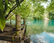Jamaica Beach Access Crisis: Activists Fight 'Plantation Tourism'