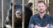 Jimmy Doherty's £500k Mission to Rescue Moon Bears from South Korea