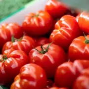 Keep Tomatoes Fresh for 2 Weeks With Simple Storage Tips