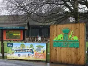 Knowsley Safari Park Welcomes Two Rare Bactrian Camel Calves