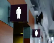 Labour MPs Doubt EHRC Guidance on Biological Sex Ruling Is Workable