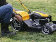 Lawn expert warns: 'Biggest mistake' mowing grass after rain