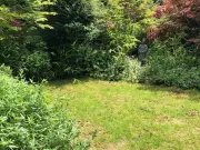 Lawns Grow Thicker Greener Grass with Epsom Salt Monthly