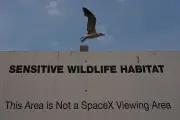 Lawsuit Challenges Trump Land Swap Giving SpaceX Texas Wildlife Refuge