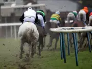 Leicester Racecourse Fined £5,000 for Failing to Screen Fatally Injured Horse