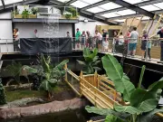 Man Arrested After Boy, 3, Critically Injured in Crocodile Enclosure at Zoo