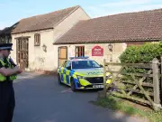 Man Bailed After Boy, 3, Ends Up in Crocodile Enclosure at Zoo