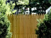 Man's Five-Year Revenge on Entitled Neighbour Goes Viral