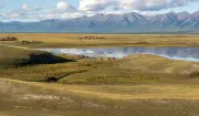 Mongolia's Rapid Permafrost Thaw: Climate Crisis Reshapes Ecosystem