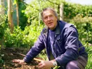 Monty Don's Simple Summer Task to Stop Lavender Turning Leggy