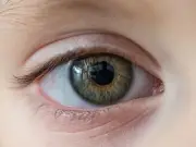 Mum Urged to See Doctor After Tick Found on Toddler's Eyelid