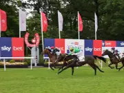 Newsboy's Thursday Racing Selections: Recobella Nap at Hamilton