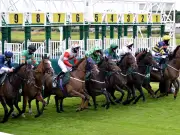 Newsboy's Thursday Tips: Winchurch Nap at Catterick, Uppercase NB