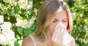 NHS Warns Hay Fever Sufferers: Don't Double Dose as UK Heatwave Intensifies