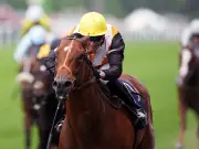 Nola Soul gives trainer Fozzy Stack first Royal Ascot winner in Chesham Stakes
