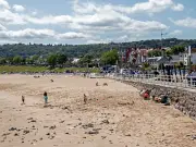 North Wales Warned of Ticks: Lyme Disease Risk Prompts Safety Advice