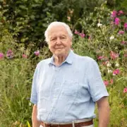 Northumberland MP leads campaign for Sir David Attenborough statue