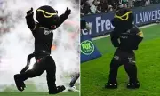 NRL Fans Think Brian To'o Is Panthers Mascot Claws in Viral Conspiracy Theory