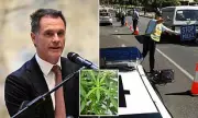 NSW medicinal cannabis patients allowed to drive under new exemptions