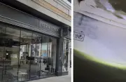 Ole & Steen fined £34k over mouse droppings at London flagship store