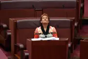 One Nation's 'sloppy' reports show $1m in missing assets