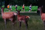 Parkrun Founder Says Million Events Never in the Plan as Milestone Nears