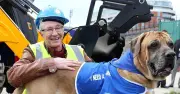 Paul O'Grady's Beloved Animals: Where They Are Three Years After His Death