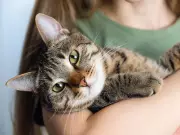 Pet Expert Reveals What Cats Really Think When We Hug and Kiss Them