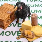 Picnic Foods That Add Hundreds of Calories to Your Dog's Diet