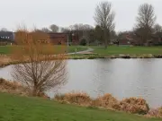 Pit Bull-Type Dog Destroyed After Attack at Hemlington Lake Leaves Woman and Pet Injured
