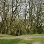 Police Probe After Two Men Demand Info from Victim in Peterlee Wood