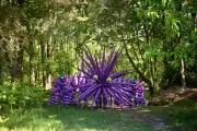 Poppet: The Psychedelic Shapeshifter Prowling Winnie-the-Pooh's Ashdown Forest