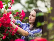 Prune These Plants in June for Repeat Flowering All Year